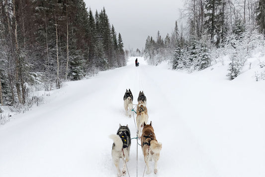 Il nostro viaggio in Svezia