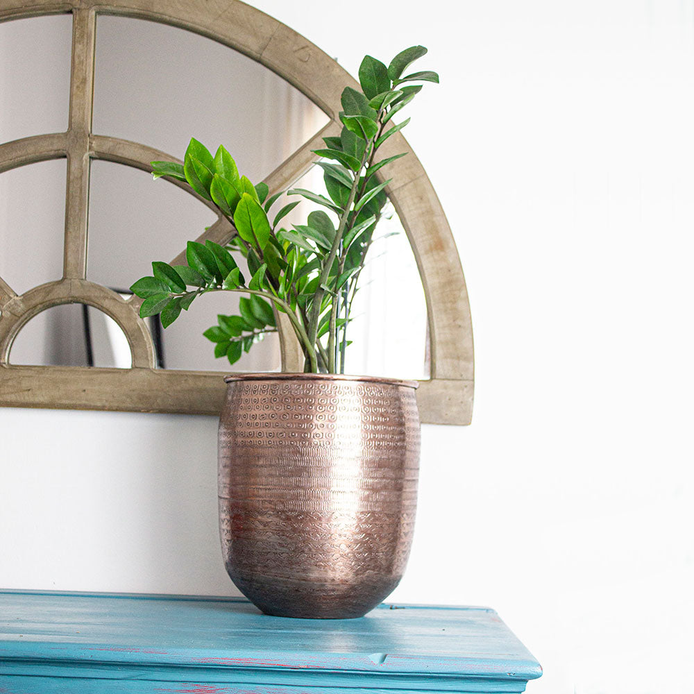 Vaso alto da interno design