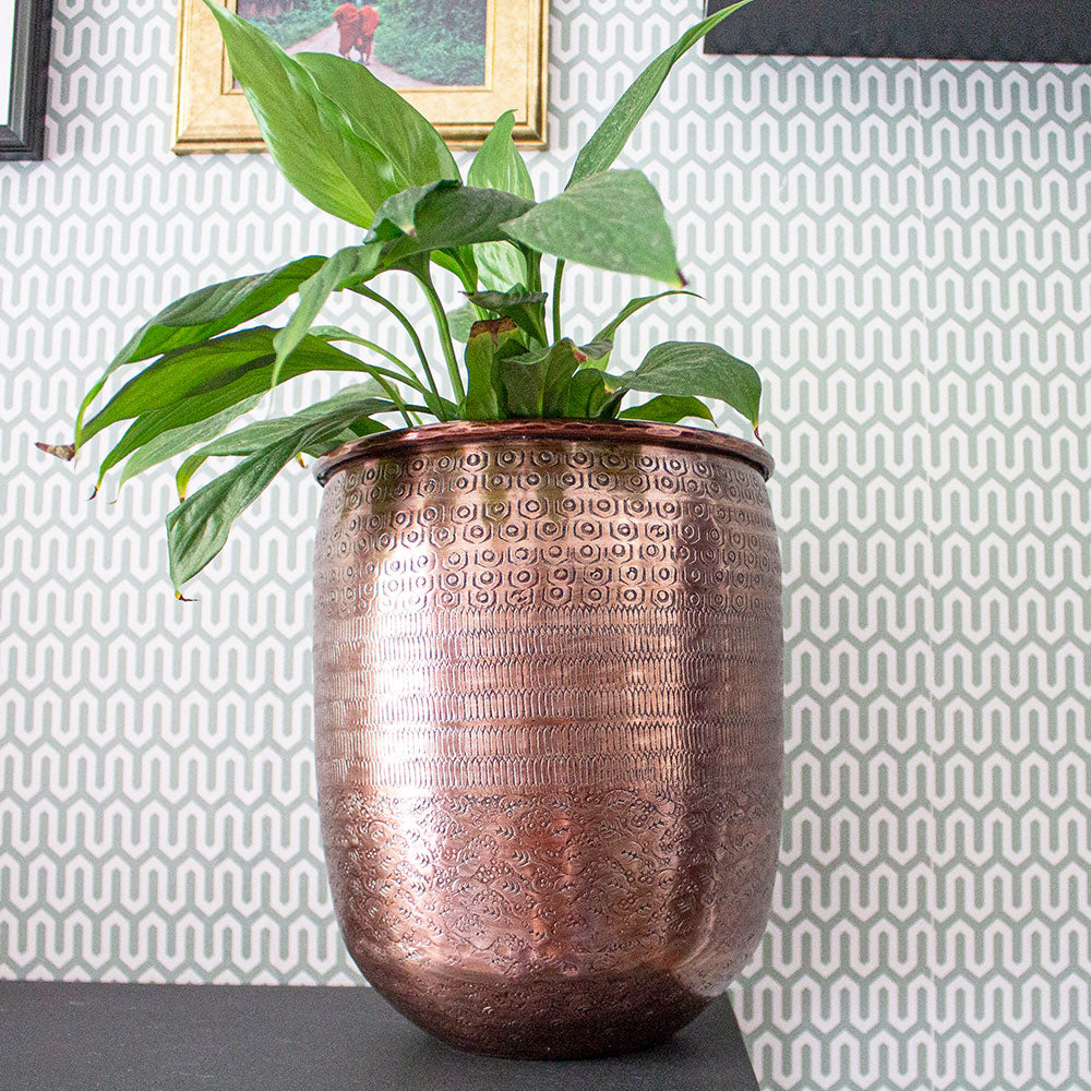 Vaso alto da interno design