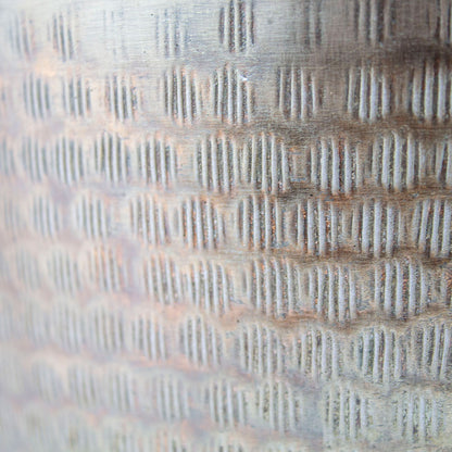 coprivaso piante da interno
