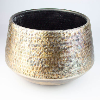 coprivaso piante da interno