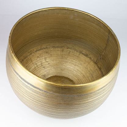 coprivaso piante da interno