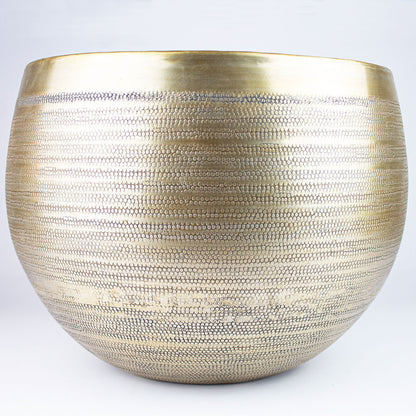 coprivaso piante da interno