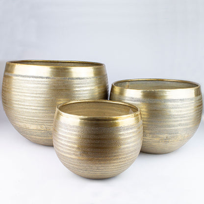 coprivaso piante da interno