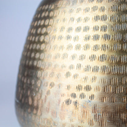 coprivaso da interno