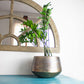 vasi per piante da interno moderni